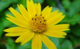 在感情中只注重情感，不关心对方条件的三大星座