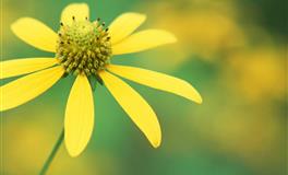 虽然容易吵架，但日子越过越红火的3对夫妻生肖