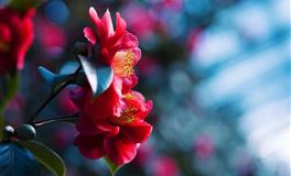 总是自作多情到极点的3大星座，其实在别人看来是自大