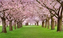 展钰凝天秤座一周运势（6.27-7.3)