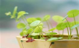 苏珊米勒每日运势2022年6月27日