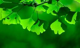 巨蟹月（6月21日—7月22日） 你依赖什么，什么就会被打碎