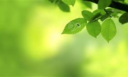 四大血型做错事后的反应会如何