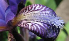 娜迪亚射手座本周运势（6.6–6.12）