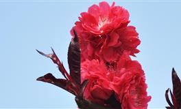 竹猫星球水瓶座一周塔罗运势（6.6-6.12）