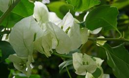 最擅长把好朋友变成恋人的星座