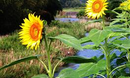 攒够了失望，终究会离你而去的三大星座，别再让其伤心了！