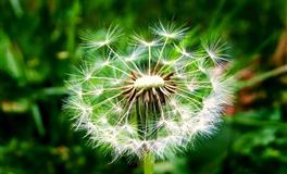 桃色风暴！这个夏天【遇上烂桃花】星座点名