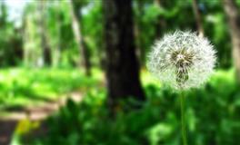 憋死自己，明明很爱但就是不告白的星座