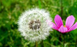 容易引起不满，经常得罪别人的几大星座，你身边有这样的人吗？