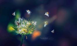 善解人意，人品极好的三个星座，圆滑会做人