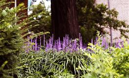 Lunita占星之旅天秤座一周运势(7.11-7.17)