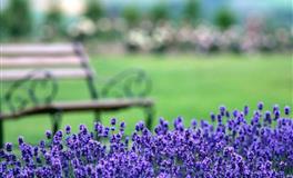 展钰凝双子座一周运势（7.18-7.24)