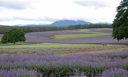 Alex天秤座一周运势（7.18-7.24）