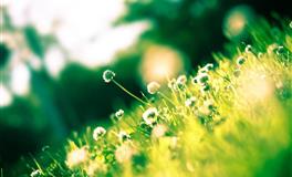 2022下半年哪几个星座可以运气爆棚