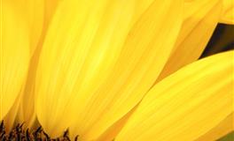 苏珊米勒每日运势2022年7月12日