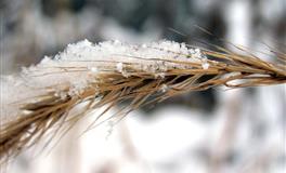 随时都有鬼点子，洞察力超群堪称人精的3大星座