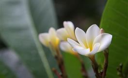 下半年里，“不容易被负面情绪影响”的TOP5星座