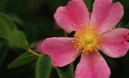 神叨酱心灵疗愈指引2022年7月16日