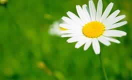 公婆看一眼就喜欢的星座女：温柔似水，把长辈拿捏的“服服帖帖”