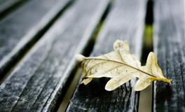 苏珊米勒2022年7月水瓶座运势完整版