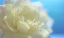 马乔丽2022年7月星座运势