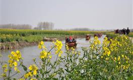 Pandora占星小巫2022年7月星座运势