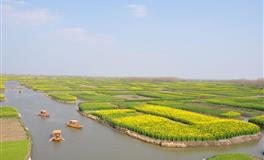 开启雷达！2022下半年十二星座【犯小人】指数