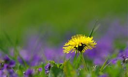 APP2022年7月星座运程