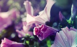 闹闹女巫店2022年7月星座运势