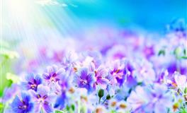 苏珊米勒每日运势2022年7月4日