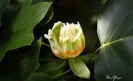 2022年7月运势提醒，这些星座要小心是非和麻烦