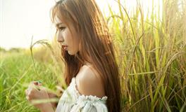 滴天居士2023年生肖牛的运势解析