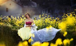 滴天居士2023年生肖羊的运势解析