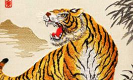 属虎的男生和属猴的女生，缘分指数是多少