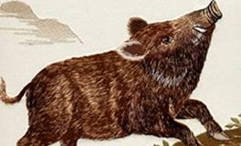 属猪的男生和属蛇的女生，缘分指数是多少