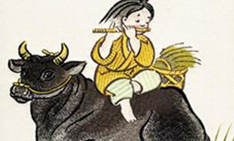 属牛人犯太岁的年份