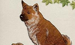 属狗人犯太岁的年份