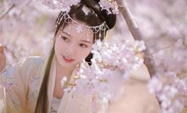 感情方面专一深情星座。