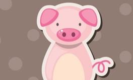 1995年的属猪人2024年全年运势及每月运势详解