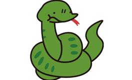 属蛇和什么属相相冲相克