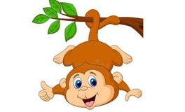 1992年属猴的五行属什么，是什么命？