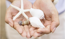 Pandora占星小巫一周星座塔罗运势（9.11-9.17）