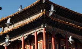 国庆小长假，12生肖出游的首选！