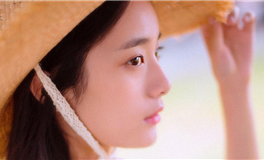 多利经济的生肖组合