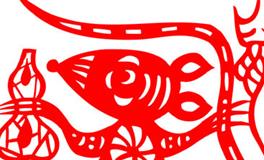 1972年属鼠的男人在2024全年的运势/运程详解