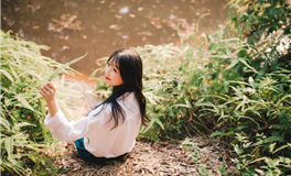 2024甲辰龙年属虎人运势详解