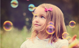 2024年十二生肖运势分析