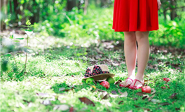 冥王星摩羯座：黑暗父亲的陨落