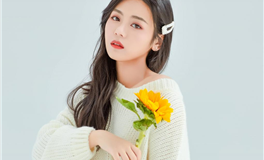 特别团结，讨厌内讧的星座